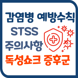 Read more about the article 일본 전염병 STSS 예방 수칙5와 증상 독성쇼크증후군 주의사항