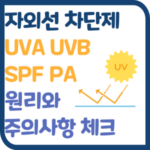 자외선 차단제 원리와 주의사항 UVA와 UVB 그리고 SPF와 PA